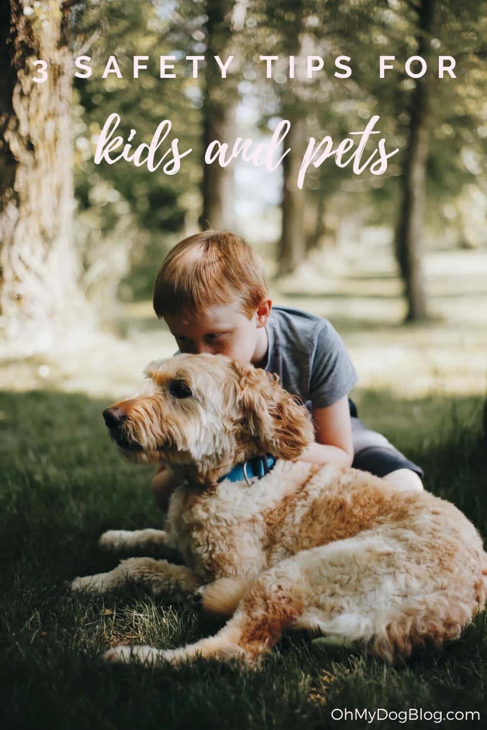 3 Pet Safety Concepts for Youngsters