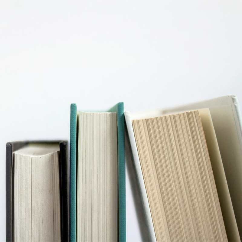 A stack of three books lean against one another. The spines are facing away so the titles can't be seen, but the covers are brown, blue, and white. 