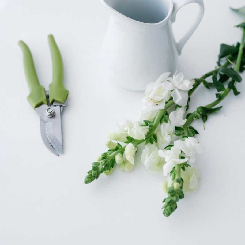 A pair of green-handled gardening shears sit on a white table next to spray of flowers and a white pitcher. 