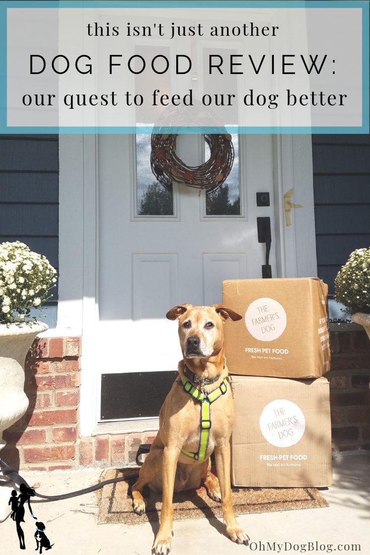 Not just another dog food review_ The Farmer's Dog