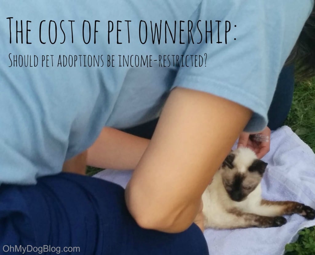 The value of pet possession: Should animal adoption be restricted by earnings?