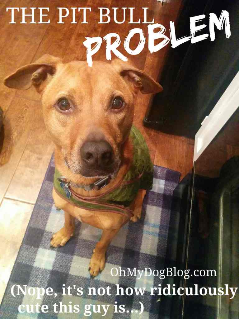 The Pit Bull Problem