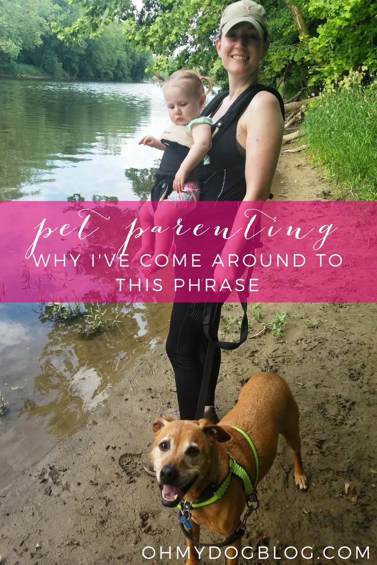 Why I’ve come spherical to the phrase pet parenting